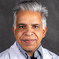 Photo of Sovichan Scaria, Licensed Marriage and Family Therapist